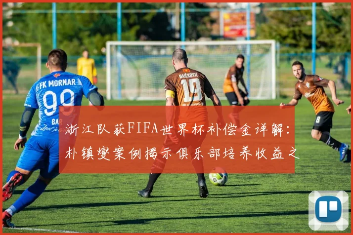 浙江队获FIFA世界杯补偿金详解:朴镇燮案例揭示俱乐部培养收益之道