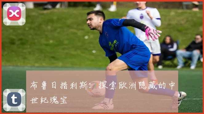 布鲁日措利斯:探索欧洲隐藏的中世纪瑰宝