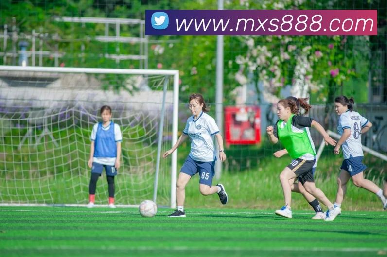 半岛体育平台生态图